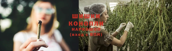 стафф Балахна
