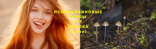 стафф Балахна