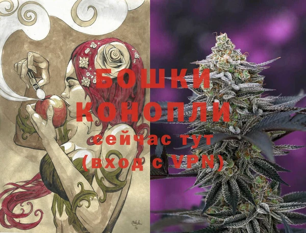 молекула духа Медногорск