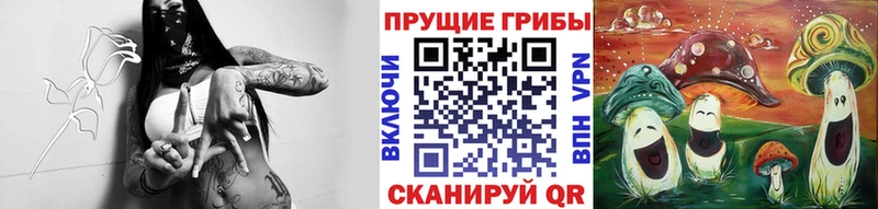 это как зайти  где можно купить наркотик  Зеленогорск  Псилоцибиновые грибы GOLDEN TEACHER 